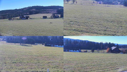 Rejvíz - Běžecké stopy