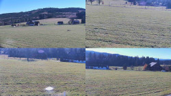 Rejvíz - Běžecké stopy