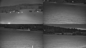 Snímek 7.11.2025 v 03:01