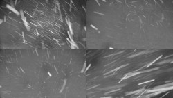 Rejvíz - Běžecké stopy