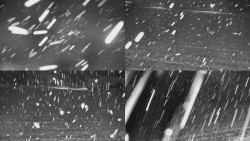 Rejvíz - Běžecké stopy