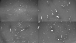 Rejvíz - Běžecké stopy