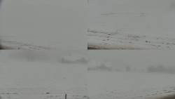 Rejvíz - Běžecké stopy