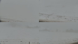 Rejvíz - Běžecké stopy