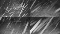 Rejvíz - Běžecké stopy