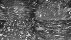 Rejvíz - Běžecké stopy