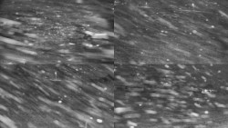 Rejvíz - Běžecké stopy