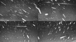 Rejvíz - Běžecké stopy