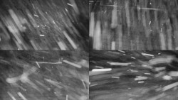 Rejvíz - Běžecké stopy