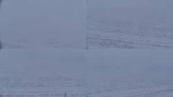 Rejvíz - Běžecké stopy