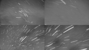 Rejvíz - Běžecké stopy - Rejvíz - Běžecké stopy - 14.2.2026 v 22:01 Rejvíz - Běžecké stopy - Rejvíz - Běžecké stopy - 14.2.2026 v 22:01