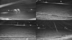 Rejvíz - Běžecké stopy