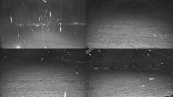 Rejvíz - Běžecké stopy