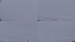 Rejvíz - Běžecké stopy