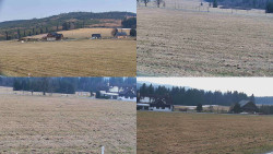 Rejvíz - Běžecké stopy