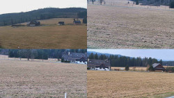 Rejvíz - Běžecké stopy