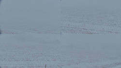 Rejvíz - Běžecké stopy