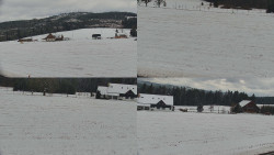 Rejvíz - Běžecké stopy