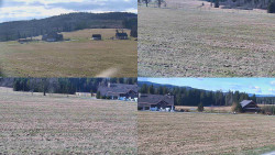 Rejvíz - Běžecké stopy