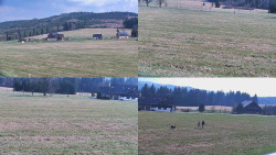 Rejvíz - Běžecké stopy