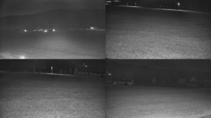 Rejvíz - Běžecké stopy - Rejvíz - Běžecké stopy - 19.4.2026 v 03:01 Rejvíz - Běžecké stopy - Rejvíz - Běžecké stopy - 19.4.2026 v 03:01