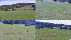 Sdružený snímek