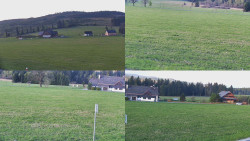 Sdružený snímek
