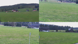 Sdružený snímek