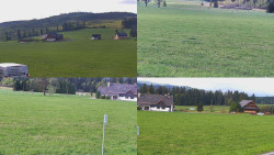 Sdružený snímek
