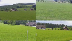 Sdružený snímek