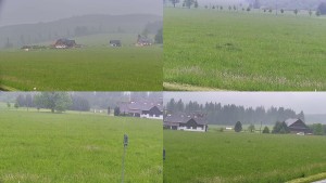 Rejvíz - Běžecké stopy - Sdružený snímek - 3.6.2026 v 13:01 Rejvíz - Běžecké stopy - Sdružený snímek - 3.6.2026 v 13:01