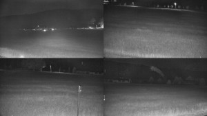 Rejvíz - Běžecké stopy - Sdružený snímek - 9.6.2026 v 00:01 Rejvíz - Běžecké stopy - Sdružený snímek - 9.6.2026 v 00:01