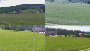 Rejvíz - Běžecké stopy - Sdružený snímek - 9.6.2026 v 15:01 Rejvíz - Běžecké stopy - Sdružený snímek - 9.6.2026 v 15:01