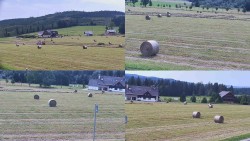 Sdružený snímek