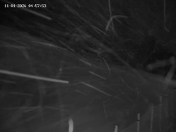 Spodní část sjezdovky č. 1