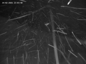 Skiareál Mosty u Jablunkova - Spodní část sjezdovky č. 1 - 15.2.2026 v 00:00 Skiareál Mosty u Jablunkova - Spodní část sjezdovky č. 1 - 15.2.2026 v 00:00