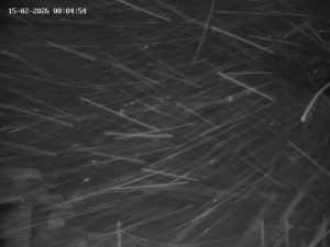 Skiareál Mosty u Jablunkova - Spodní část sjezdovky č. 1 - 15.2.2026 v 01:00 Skiareál Mosty u Jablunkova - Spodní část sjezdovky č. 1 - 15.2.2026 v 01:00