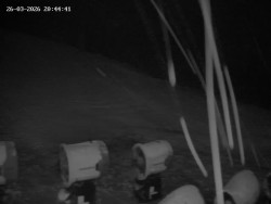 Spodní část sjezdovky č. 1