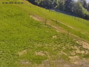 Skiareál Mosty u Jablunkova - Spodní část sjezdovky č. 1 - 16.6.2026 v 13:00 Skiareál Mosty u Jablunkova - Spodní část sjezdovky č. 1 - 16.6.2026 v 13:00