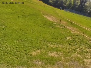 Skiareál Mosty u Jablunkova - Spodní část sjezdovky č. 1 - 16.6.2026 v 14:00 Skiareál Mosty u Jablunkova - Spodní část sjezdovky č. 1 - 16.6.2026 v 14:00