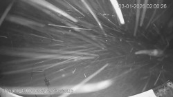 Vrchol Bouřňák, pohled na jih