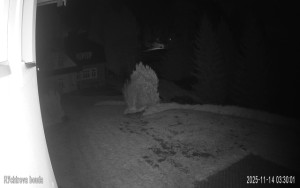 Obec Benecko - Rychtrovka - 14.11.2025 v 03:30 Obec Benecko - Rychtrovka - 14.11.2025 v 03:30