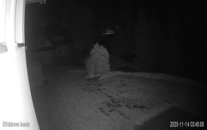 Obec Benecko - Rychtrovka - 14.11.2025 v 03:45 Obec Benecko - Rychtrovka - 14.11.2025 v 03:45