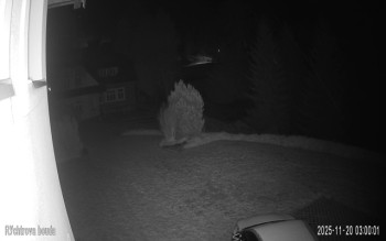 Snímek 20.11.2025 v 03:00