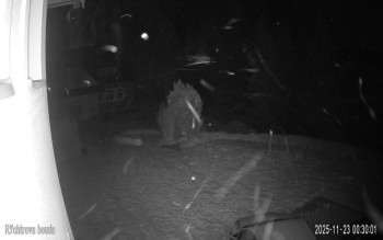 Snímek 23.11.2025 v 00:30