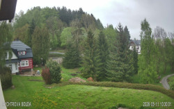Rychtrovka