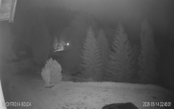 Rychtrovka