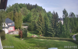 Rychtrovka