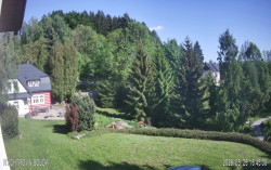 Rychtrovka