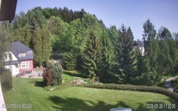 Rychtrovka